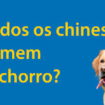 Todos os chineses comem cachorro? Qual é a verdade? Thumbnail